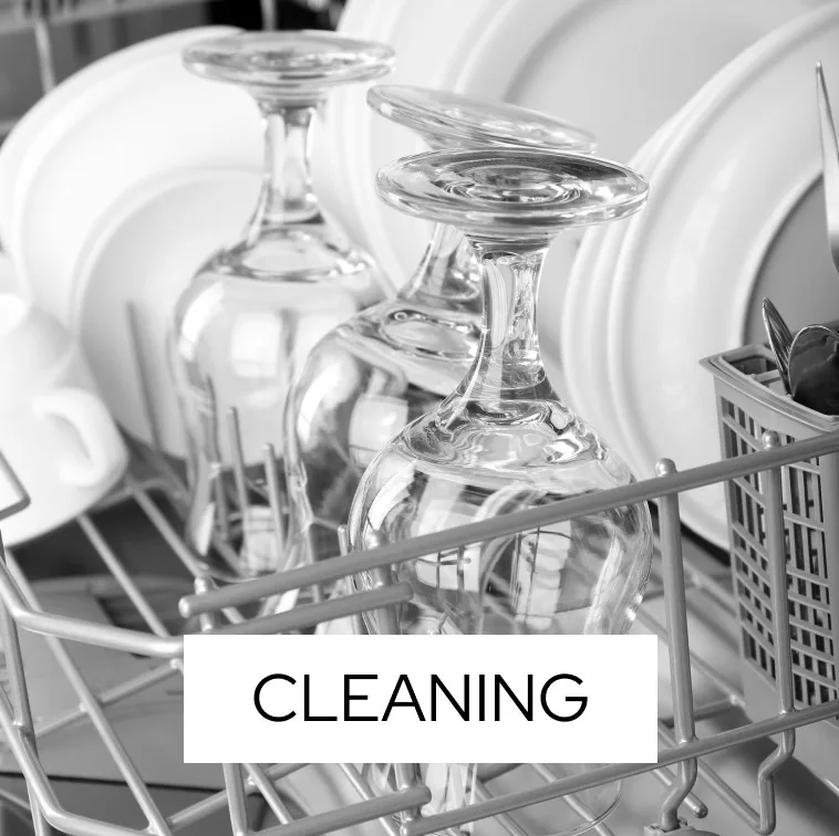 Alkaline Kangen Water for cooking and food preparation